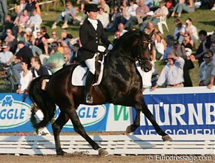 Roosevelt/Rosevelt at the 2006 Hanoverian Young Horse Championships :: Photo © Astrid Appels