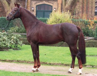 Fiano (by Fidermark x Fruhlingsball) :: Photo © NRW