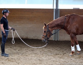 Are We Training Our Horses More Than Necessary