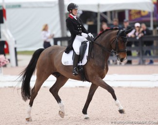 Belinda Trussell on Carlucci at the 2019 CDI Wellington :: Photo © Astrid Appels