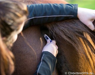 Double Vet Check Carried Out Before Start of 2019 CDI Aalborg