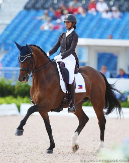 Ellesse Tzinberg and Triviant at the 2018 World Equestrian Games :: Photo © Astrid Appels