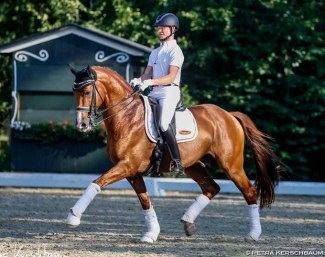 Florian Zimmermann and Happiness Returns C at the Austrian WCYH selection trial at the Gutenhof :: Photo © Petra Kerschbaum