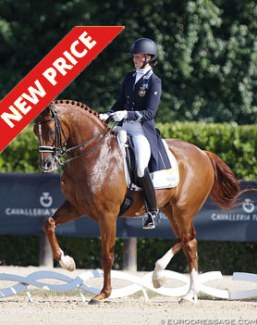 Cerano Gold at the 2019 European Under 25 Grand Prix Championships :: Photo © Astrid Appels