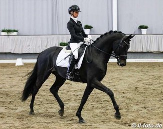 Eva Möller and Fürst Dior in the 2020 Munster Stallion Sport Test :: Photo © LL-foto