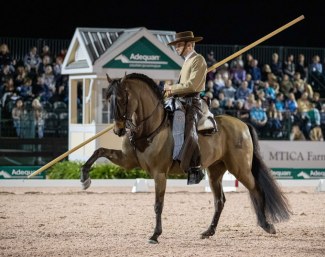 Miguel de Rooij on Brio HGF demonstrating "Doma Vaquera" during the 2020 USPRE Week :: Photo © Lily Forado 