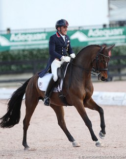Cesar Parra and Mr Bumblebee at the 2020 CDI Wellington :: Photo © Astrid Appels
