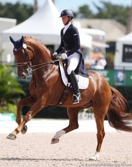 Heather Blitz and Paragon at the 2014 Palm Beach Dressage Derby CDI :: Photo © Astrid Appels