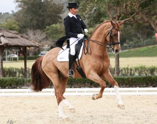 Joe Antonio Garcia Mena and Sorento at their show debut in Spain :: Photo © Alberto Martinez Bracero