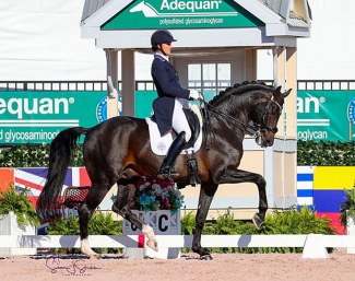 Adrienne Lyle and Salvino at the 2020 CDI Palm Beach Derby in Wellington :: Photo © Sue Stickle