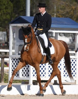 Dutch warmblood mare Furyoni (by Zjengis Khan x D-Day)