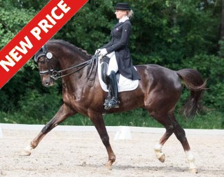 Internationally competed Grand Prix horse Jazzpoint (by Westpoint x Nubertus R)
