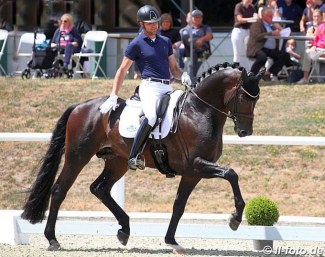 Matthias Bouten on Fidelio Royal at the second German WCYH selection trial in Warendorf in July 2019 :: Photo © LL-foto