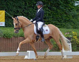 Casino Gold (by Casino Royale K x Daiquiry)