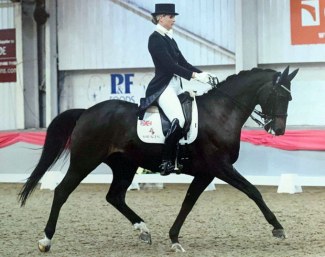 Renoir at Keysoe CDI*** October 2019