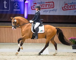 Micky Schelstraete and Cappucino Royale G at the 2017 CDI Exloo :: Photo © Digishots