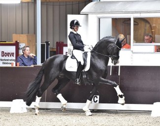 Anne-Mette Strandby Hansen and Janeiro Platinum at the Dutch WCYH selection trial in Nunspeet :: Photo © Wilma Frentz