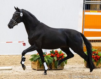 Nadal SSF (by Just Wimphof x Charmeur)  :: Photo © Digishots