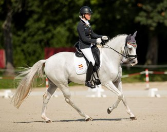 Hugo (by Hemmingway B x Dressman x Voltreffer)