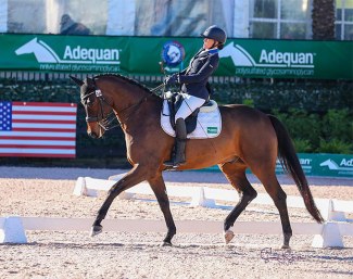 Rebecca Hart and Fortune 500 at the 2021 CPEDI Wellington :: Photo © Sue Stickle