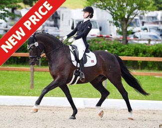 Aros A Fenris at the 2019 CDIO-CHPJYR Hagen in Germany :: Photo © Ruchel