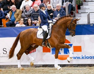 Steffi Ahlert on Vivat Rex at the 2020 K+K Cup stallion show in Munster :: Photo © Petra Kerschbaum