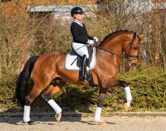 Isabell Werth and Valdiviani :: Photo © T. Schult