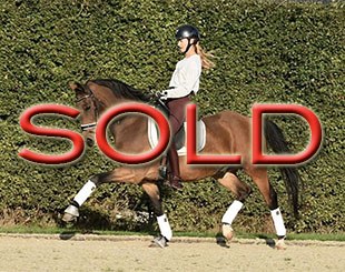 SOLD TO HUNGARY