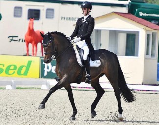 FEI Dressage Horse for Sale: Treffinger's Standing Ovation