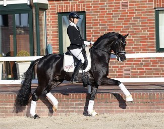 Join Australian Grand Prix rider Simone Pearce at Gestut Sprehe to train and compete the talented youngsters in the stable