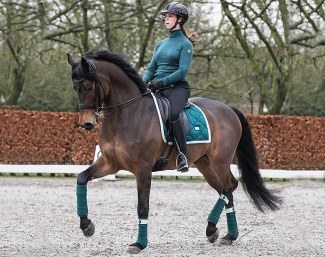 Charlotte van Ingelgem on Hero VDT (by Conteur x Wynton x Calypso) :: Photo © Helene Massa