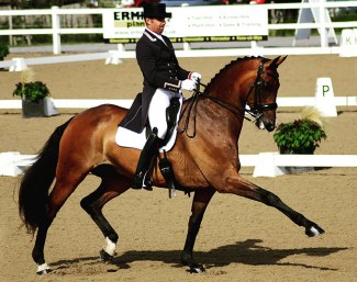 RS Raphael (by Blue Hors Romanov x Argument x Feiner Stern)
