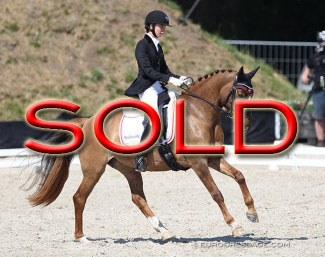 Gamby's Hanneken WE at the 2018 CDIO Uggerhalne :: Photo © Astrid Appels