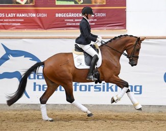 Named 2021 Danish Elite Mare Champion