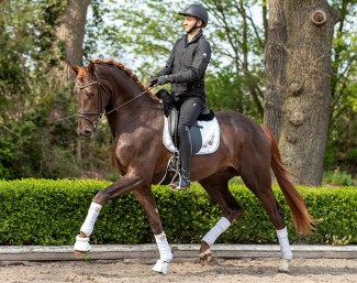 San To Alati (by Secret x Belissimo M x Florencio) :: Photo courtesy Krusterhof