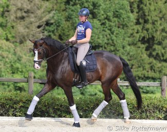 Andrea Lahmeyer, para dressage rider and renowned dressage breeder. Here on Quinsam L riding Always back to front. Quinsam L gained brilliance through his classical training :: Photo © Silke Rottermann