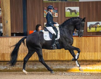 Marieke van der Putten and Lacrosse RS2 at the 2021 KWPN Stallion Saddle Presentation :: Photo © Digishots