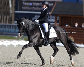 Valhallas Zorro at the 2021 CDI Opglabbeek :: Photo © Astrid Appels