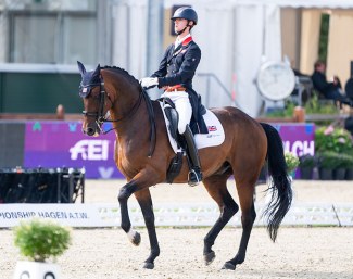 Diego V at the 2021 European Dressage Championships for Seniors and U25 in Hagen, Germany :: Photos © Lukasz Kowalski