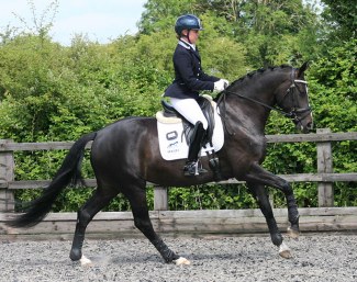 Suzie Seagry (by Tolegro x Stedinger x Wolkentanz)
