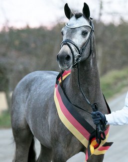 To Do (by Totilas x Top King x Nantano)