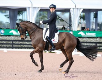 Frederic Wandres and the Russian owned Bluetooth at the 2022 CDI-W Wellington :: Photo © Sue Stickle