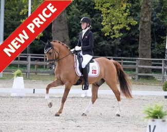 Dr. Doolittle at the CDI Waregem