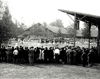 Riders in the Grand Prix lap of honour at the 1966 World Championships Dressage in Berne :: Photo by Roland von Siebenthal / SVPS Archive