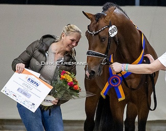 Willeke Bos with premium colt Otazu at the 2022 KWPN Stallion Licensing :: Photo © Dirk Caremans