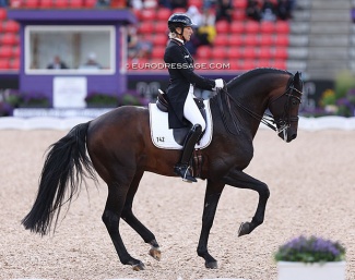 Ingrid Klimke and Franziskus at the 2022 World Championships Dressage :: Photo © Astrid Appels