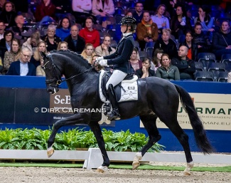 Kim Alting and Dark Rousseau in the 2023 KWPN Stallion Competition Finals :: Photo © Dirk Caremans