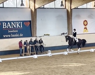 Best Future at the 2023 stallion sport test in Munich