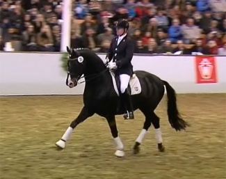 Ehrenpreis at a stallion show (screen shot)