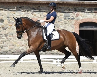 Majken Faaborg Glerup aboard Midt-West Franceska at the second Danish WCYH team selection trial :: Photo © Ridehesten